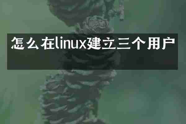 怎么在linux建立三个用户名
