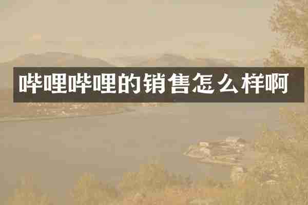 哔哩哔哩的销售怎么样啊