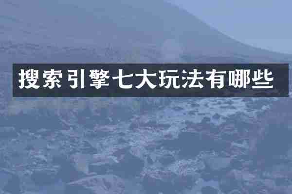 搜索引擎七大玩法有哪些