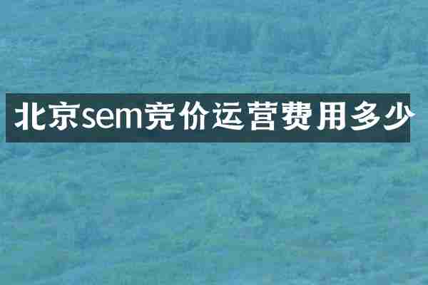 北京sem竞价运营费用多少
