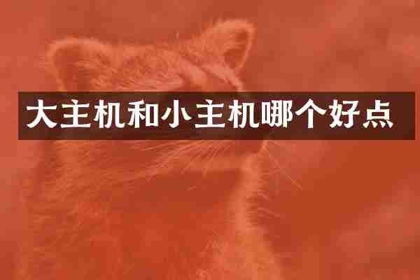 大主机和小主机哪个好点