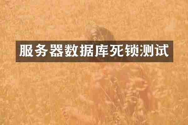 服务器数据库死锁测试