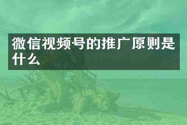 微信视频号的推广原则是什么