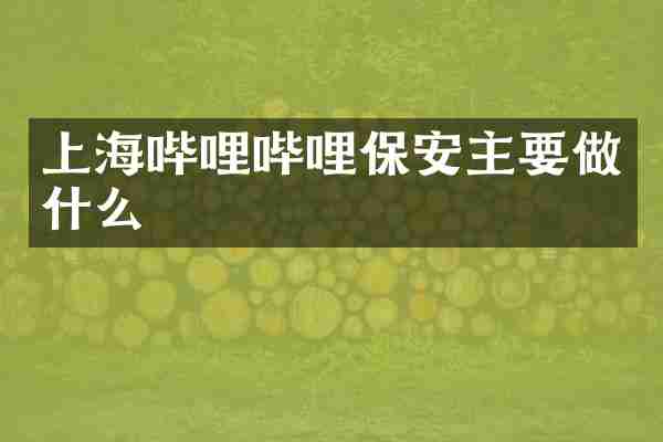 上海哔哩哔哩保安主要做什么