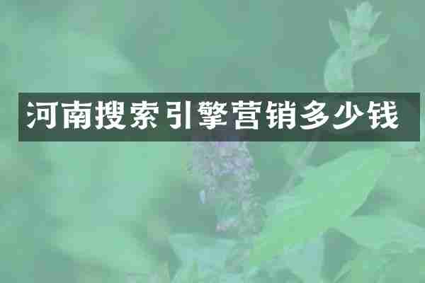 河南搜索引擎营销多少钱