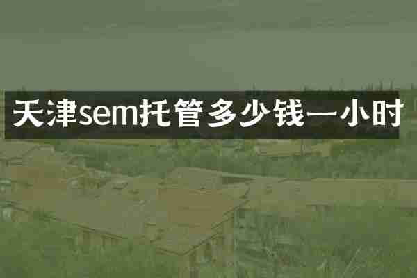 天津sem托管多少钱一小时