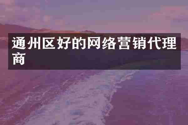通州区好的网络营销代理商