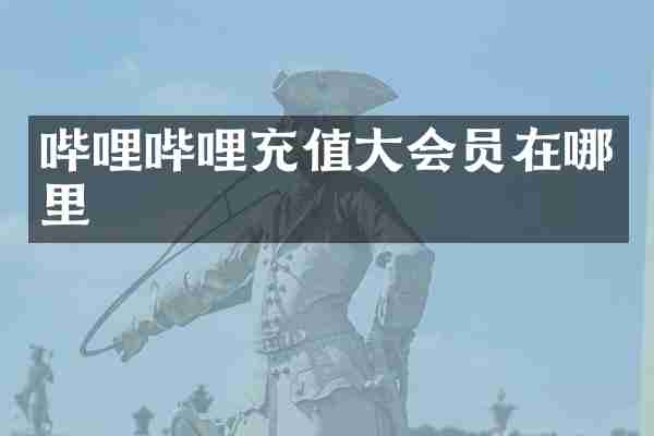 哔哩哔哩充值大会员在哪里