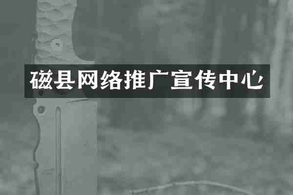 磁县网络推广宣传中心