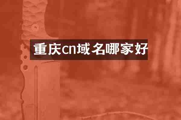 重庆cn域名哪家好