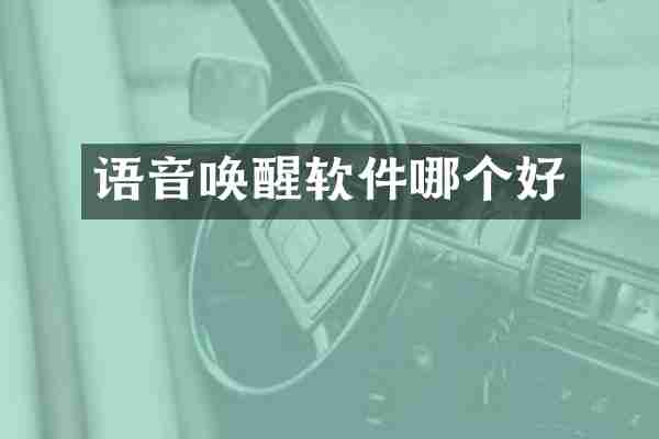 语音唤醒软件哪个好