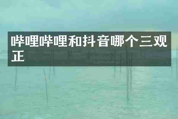 哔哩哔哩和抖音哪个三观正