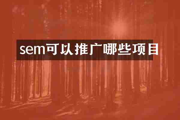 sem可以推广哪些项目