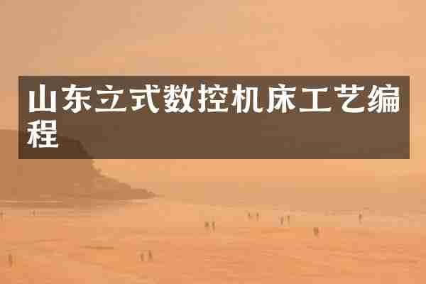 山东立式数控机床工艺编程