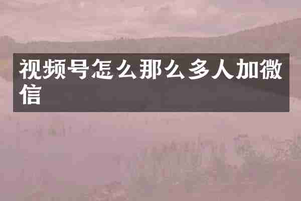 视频号怎么那么多人加微信