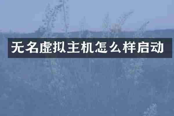 无名虚拟主机怎么样启动
