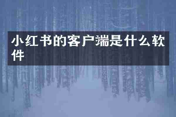 小红书的客户端是什么软件