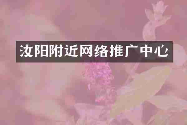 汝阳附近网络推广中心