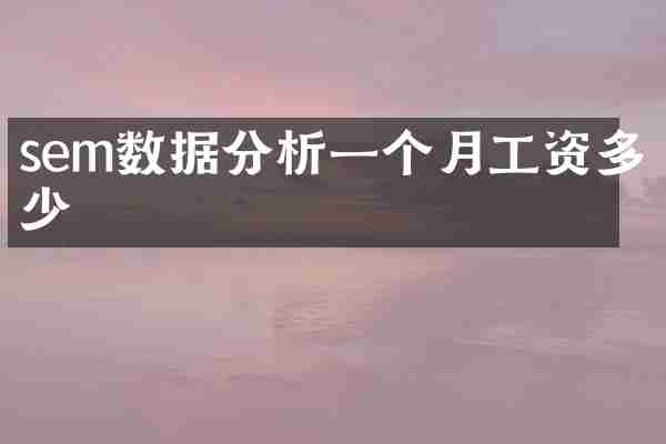 sem数据分析一个月工资多少