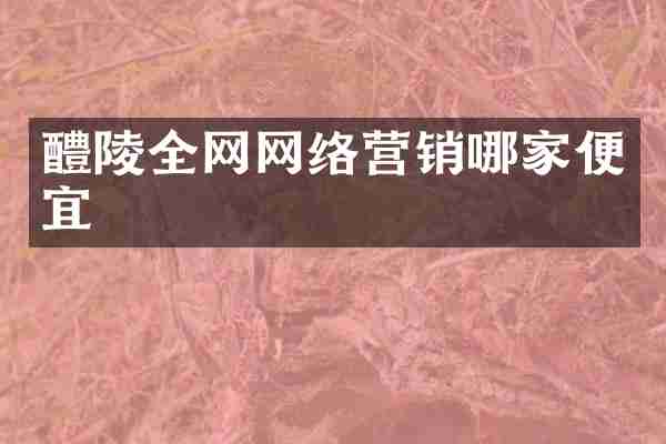 醴陵全网网络营销哪家便宜