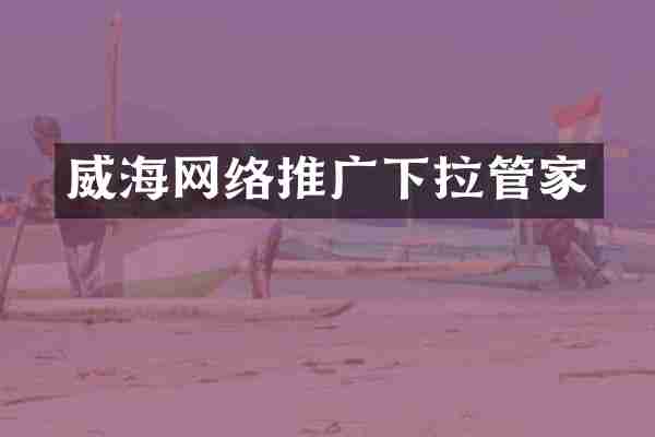 威海网络推广下拉管家