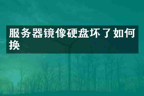 服务器镜像硬盘坏了如何换