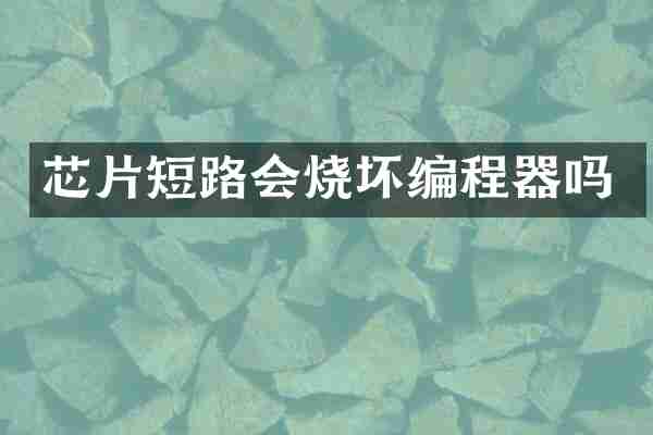 芯片短路会烧坏编程器吗