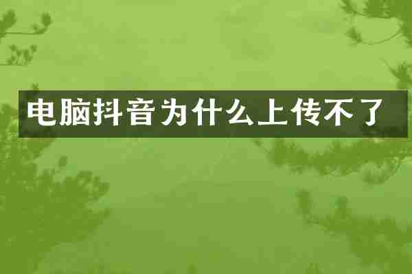 电脑抖音为什么上传不了