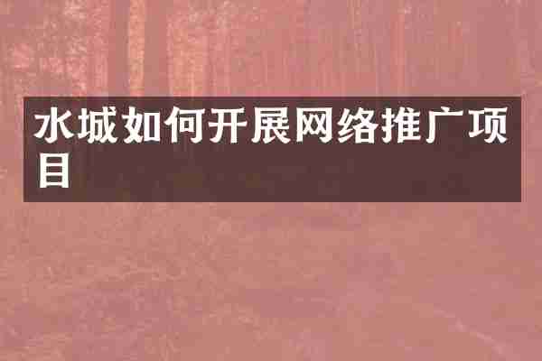 水城如何开展网络推广项目