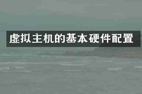 虚拟主机的基本硬件配置