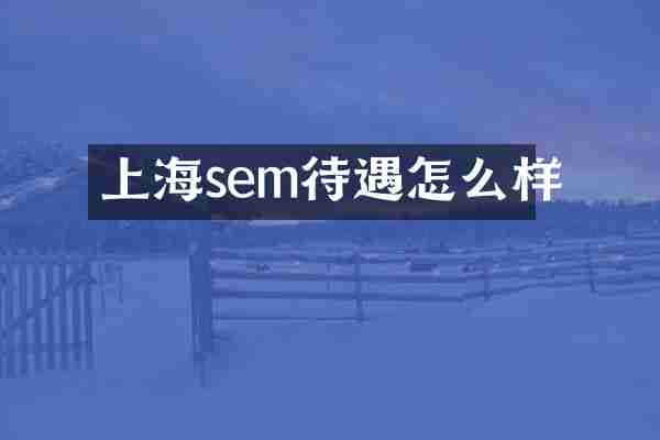 上海sem待遇怎么样