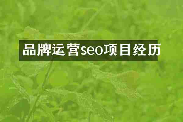 品牌运营seo项目经历