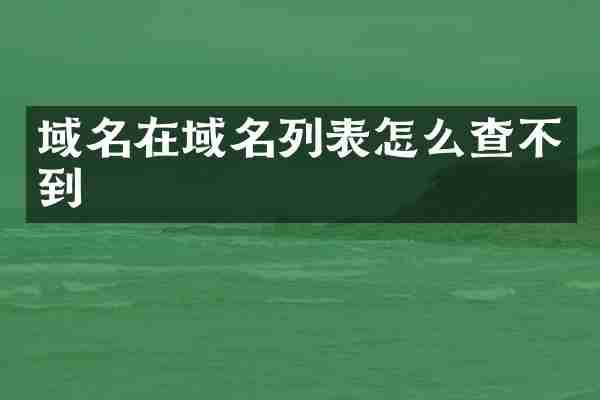 域名在域名列表怎么查不到