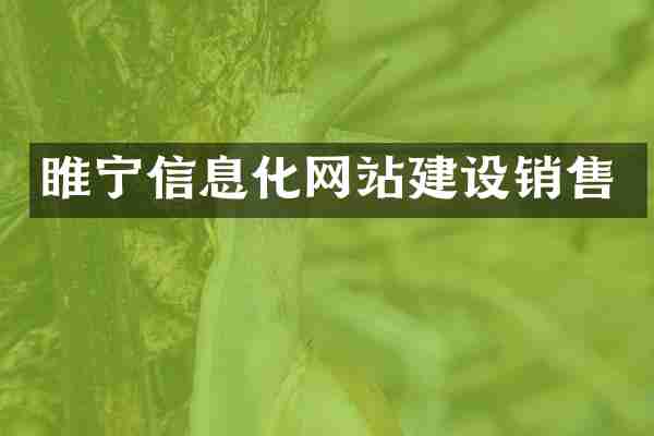 睢宁信息化网站建设销售
