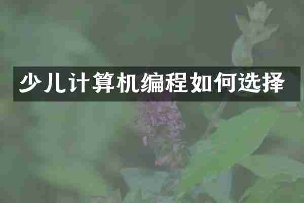 少儿计算机编程如何选择