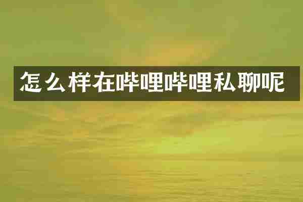 怎么样在哔哩哔哩私聊呢