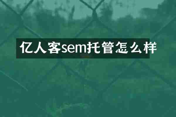 亿人客sem托管怎么样