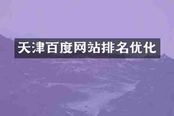 天津百度网站排名优化