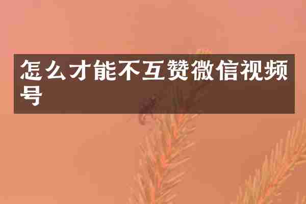 怎么才能不互赞微信视频号