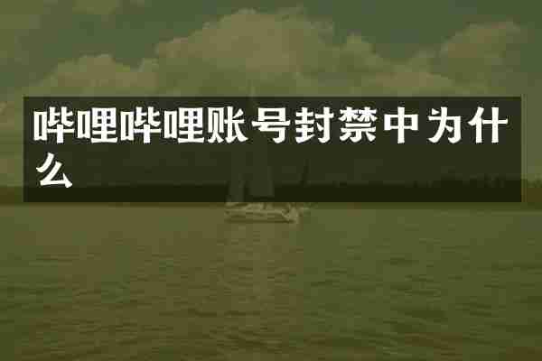 哔哩哔哩账号封禁中为什么