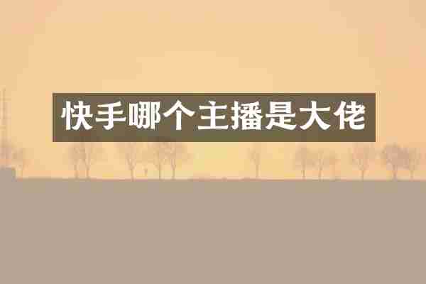 快手哪个主播是大佬