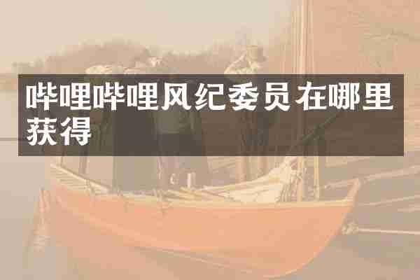 哔哩哔哩风纪委员在哪里获得