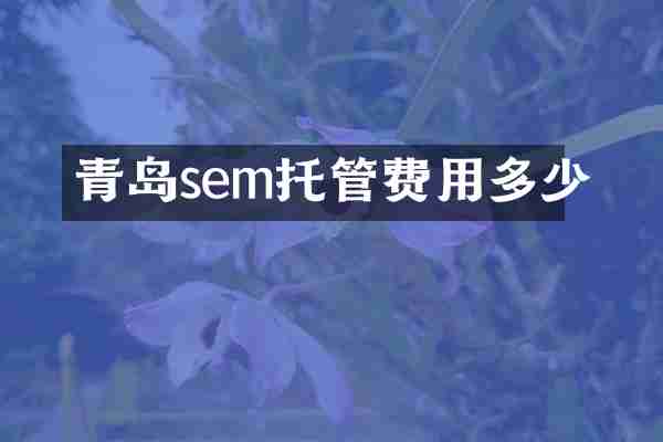 青岛sem托管费用多少