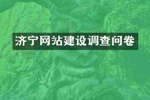 济宁网站建设调查问卷