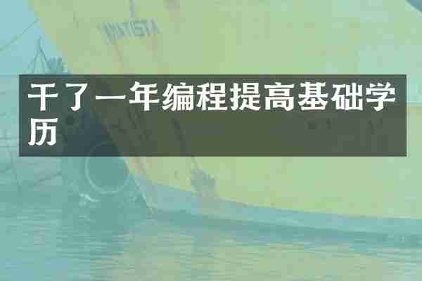 干了一年编程提高基础学历