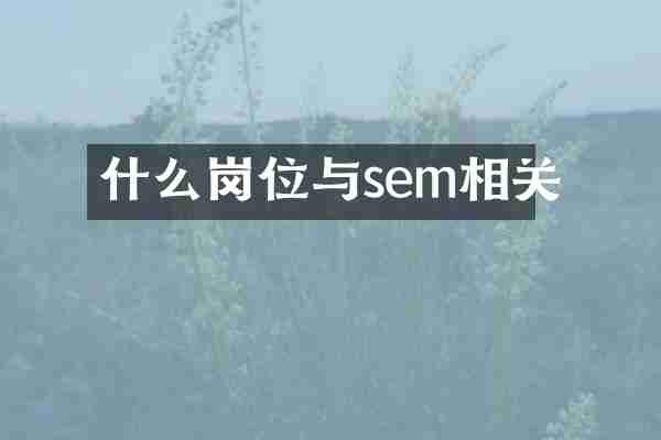 什么岗位与sem相关