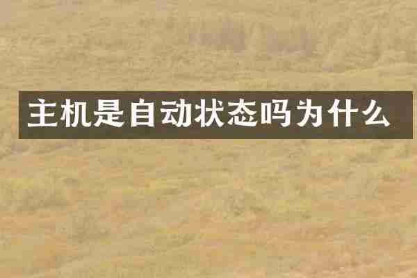主机是自动状态吗为什么