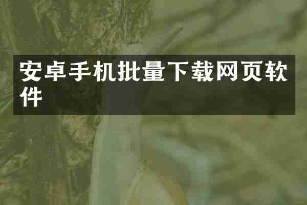 安卓手机批量下载网页软件