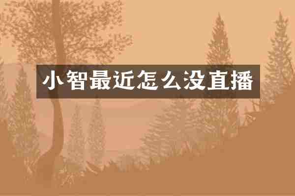 小智最近怎么没直播