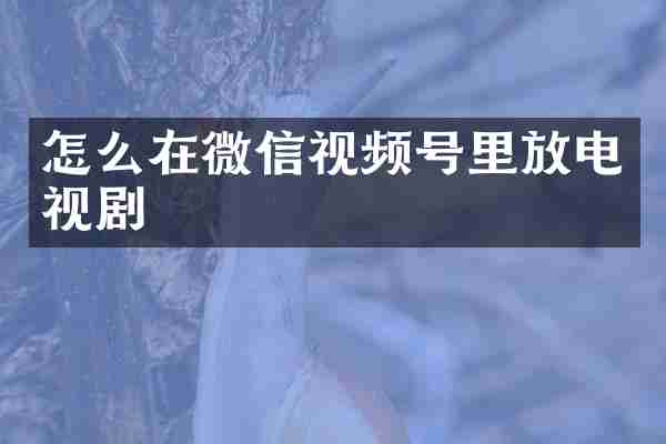 怎么在微信视频号里放电视剧